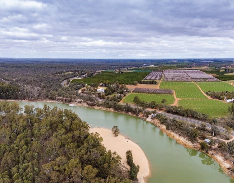Murray-Mallee-Regional-Plan-
